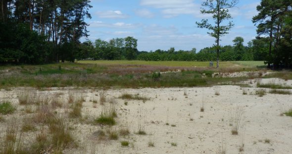 Abgeschobene Sandfläche