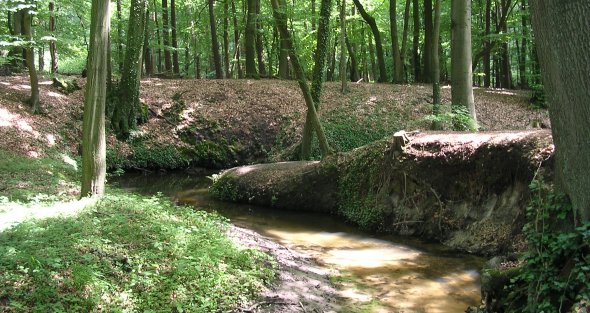 Landbach