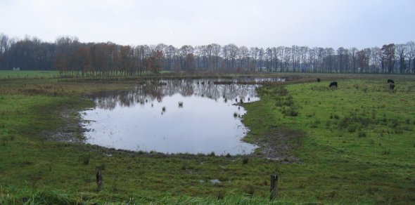 Blänke im Naturschutzgebiet