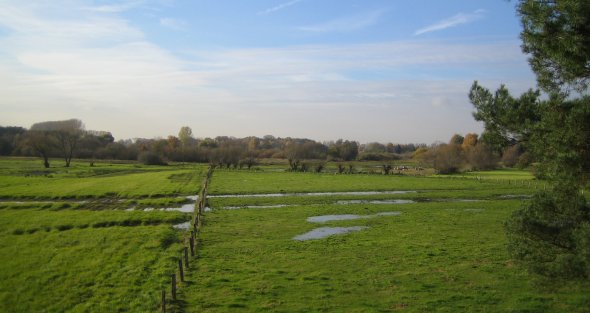 Wiesen im Vogelschutzgebiet
