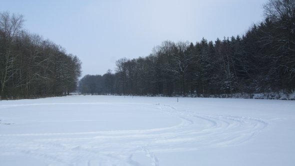 Bruchbachniederung