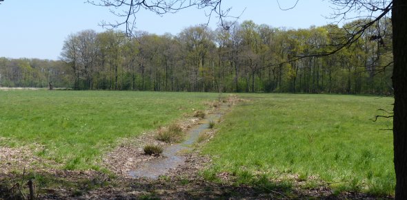Flacher Graben in den Feuchtwiesen