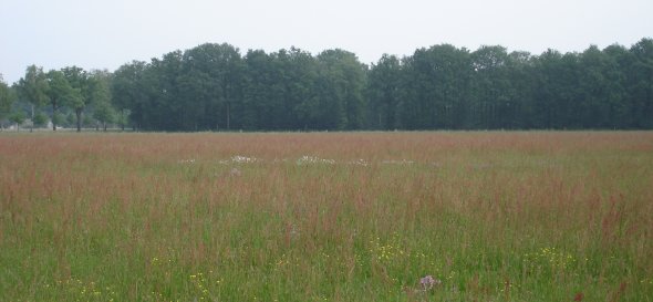 Blick über das Naturschutzgebiet