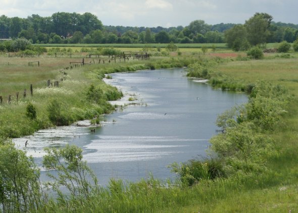 Aufgestauter Ziegenbach