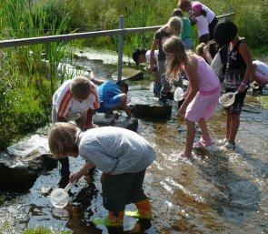 Kinder beim Käschern am Bach