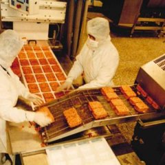 Farbfoto: Zwei Arbeiterinnen mit Schutzkleidung und Hauben an einer Verpackungsmaschine für Hackfleisch. 