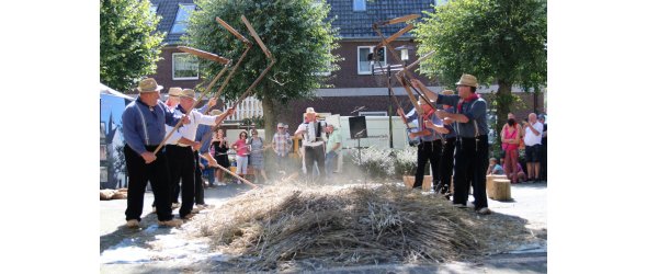 Vor einer Zuschauermenge wird das historische Dreschen von Getreide nachgestellt.