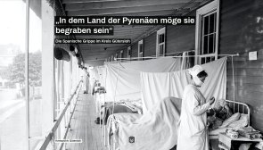 Titel der Broschüre zur Spanischen Grippe Titel der Broschüre zur Spanischen Grippe