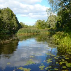 Fluss Ruja