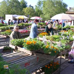 Wochenmarkt