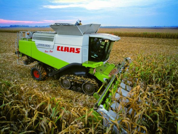 Mähdrescher von Claas auf dem Feld